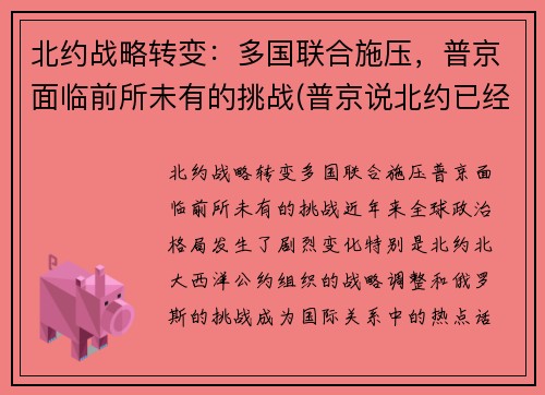 北约战略转变：多国联合施压，普京面临前所未有的挑战(普京说北约已经没有存在的必要了)